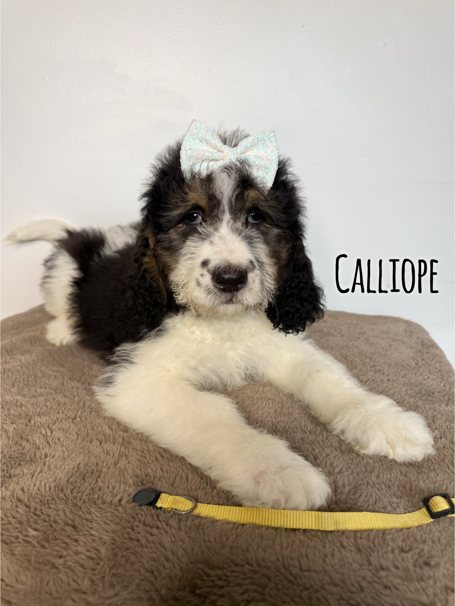 Calliope 1